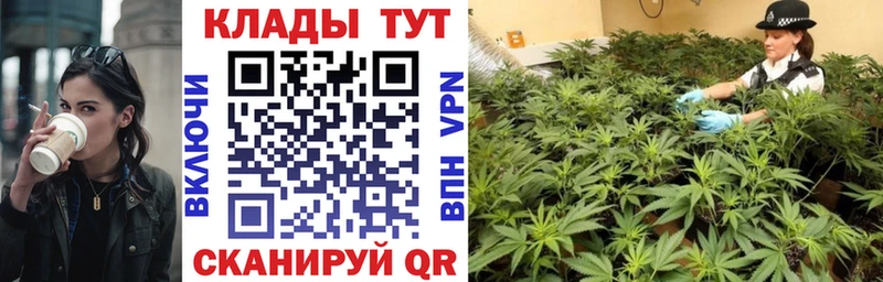 Магазины продажи наркотиков Бологое Галлюциногенные грибы Меф Канабис СОЛЬ